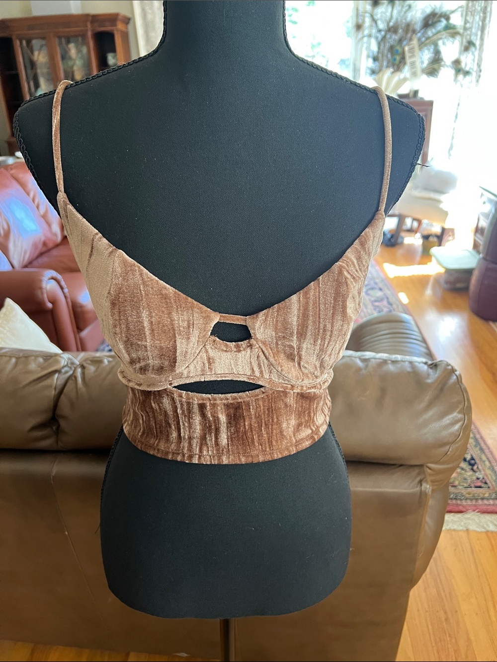 Urban Outfitters Brown Velvet Cutout Bralette
